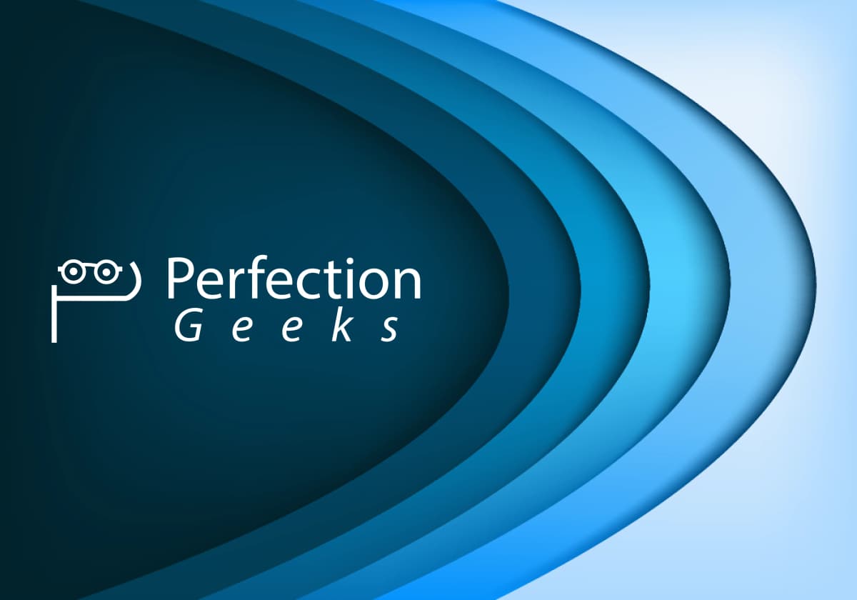 PerfectionGeeks team