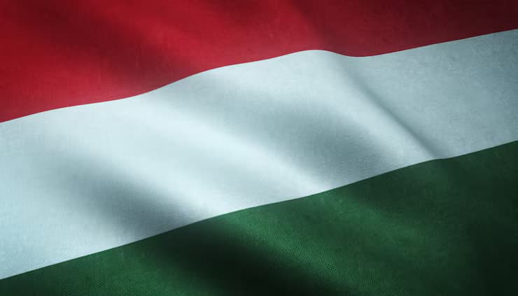 UI Design in Building Trust with Hungarian Users