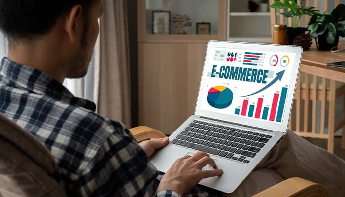 Best eCommerce Business Ideas to Start and Scale in the USA