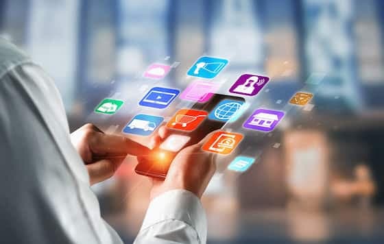 Government App Development