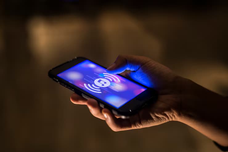 Voice Payments