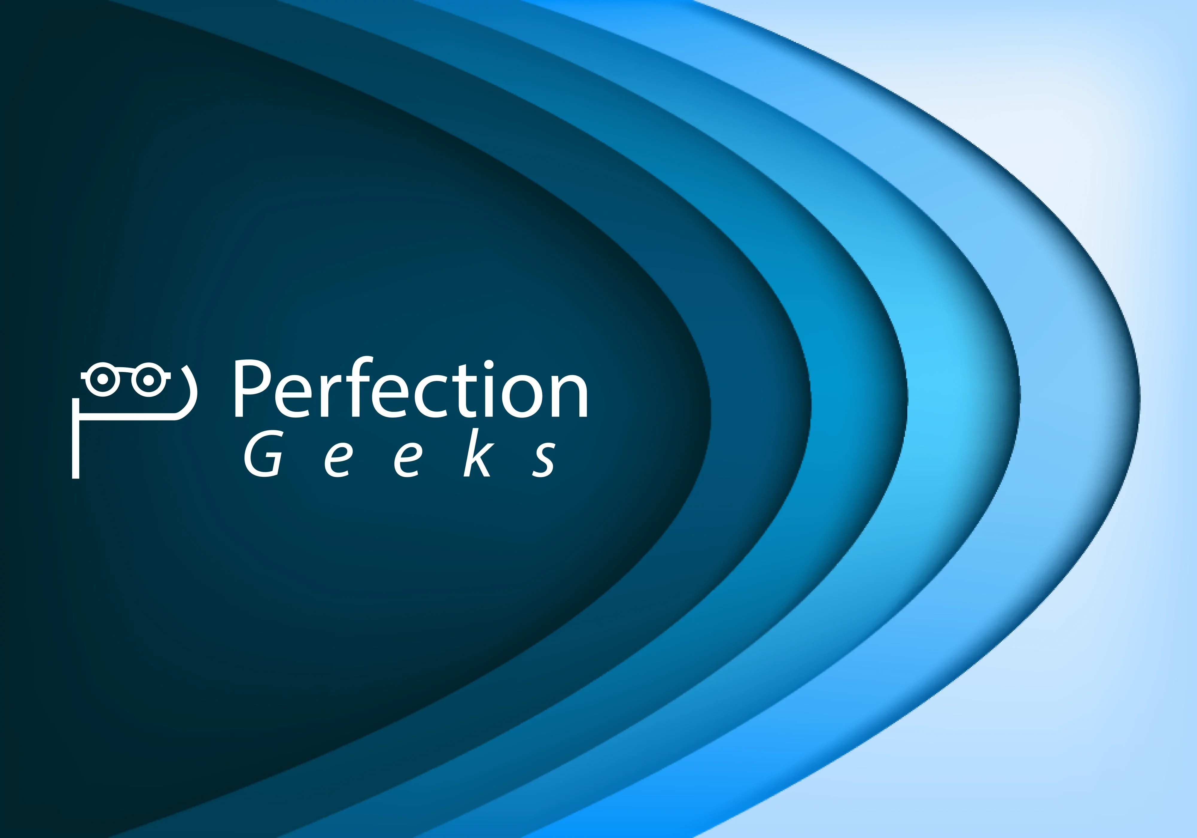 PerfectionGeeks team