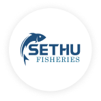 fish_b