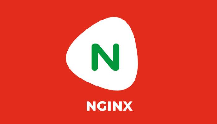  NGINX web server services in UK perfectionGeeks 