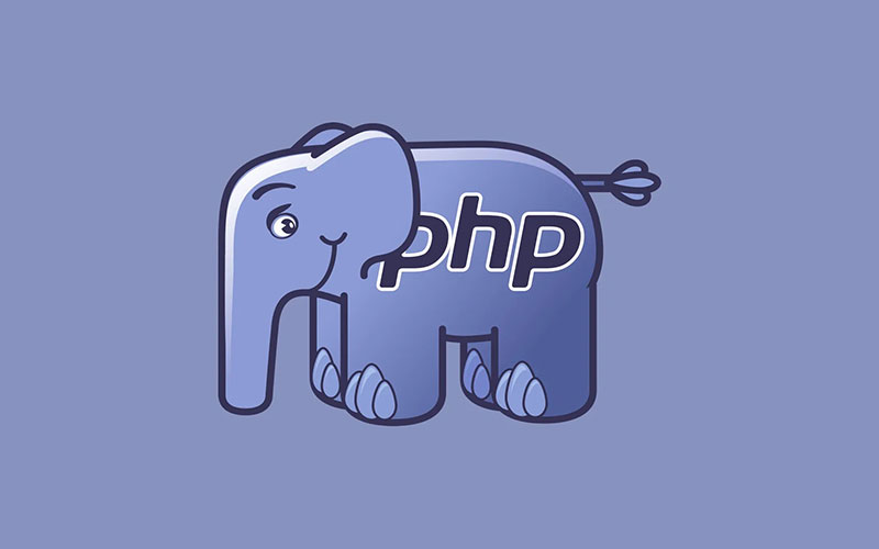 PHP-Development services in india PerfectionGeeks