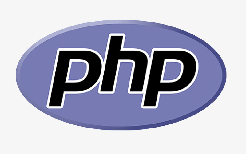 PHP development service in singapoore PERFECTIONGEEKS