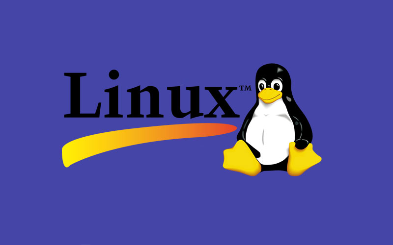 Linux กับเซิร์ฟเวอร์ Windows