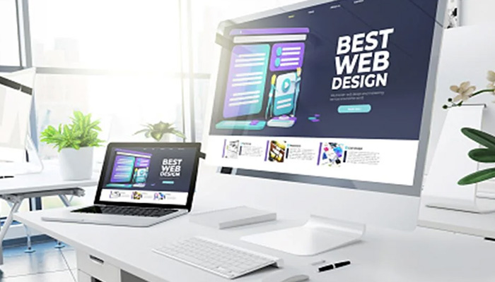 Web Design Consultation