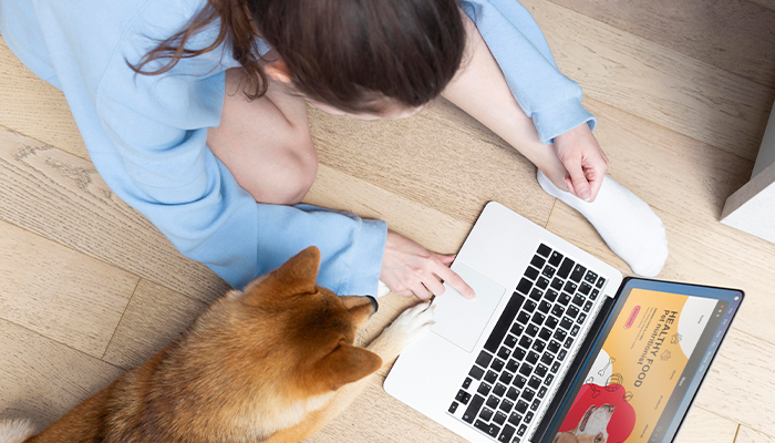 Petcare App Like Chewy