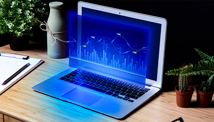 Website Development