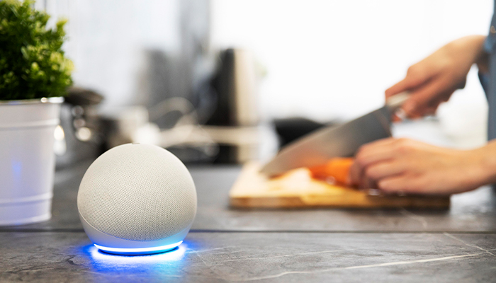 Voice Bot in Banking