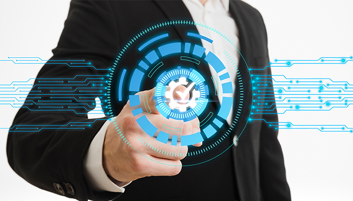 What is the Software Development Lifecycle?