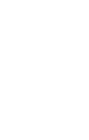 Custom AI Solutions