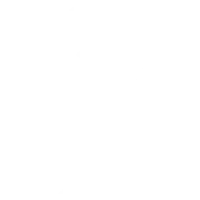 Computer Vision Solutions