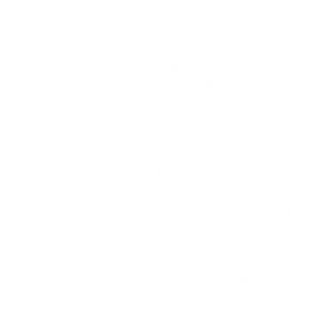  Natural Language Processing (NLP)
