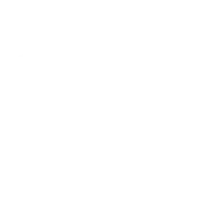 AI Integration Services
